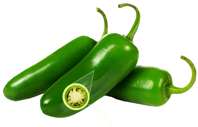 Chile-Jalapeno.png