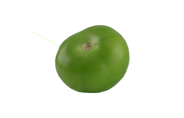 tomatillo-ludan.png